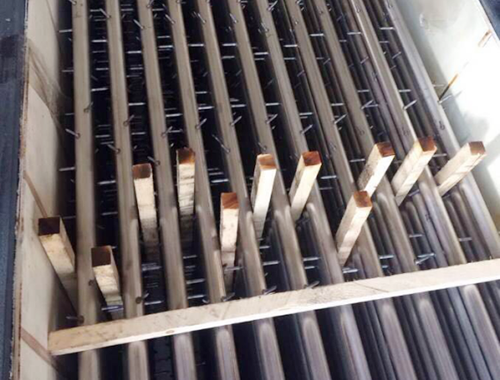 手机看片大香蕉 手机看片大香蕉